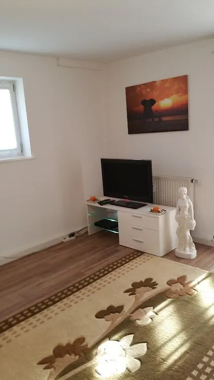 Ferienwohnung Blick Auf Die Berge Pidingerau Apartment